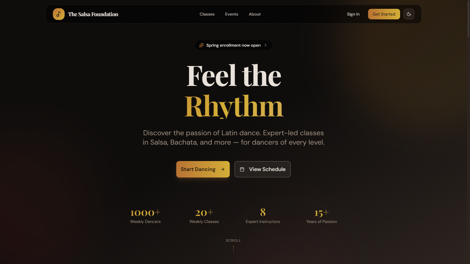 The Salsa Foundation screenshot